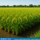 가남공인중개사사무소 이미지