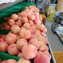 참새골농원 이미지