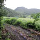 월용2리 이미지