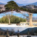 실상사앞 이미지