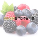 원진식품 이미지