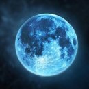 더블루문 - 수성구 | 더블루문