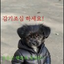 간추린 뉴스 이미지