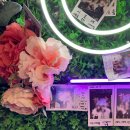 인하로 | [방탈출] 인천 방탈출카페 인하대 콜드케이스 인천2호점 | 인하로 77번길 테마 후기