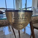 UEDA우에다 파크골프채60주년 기념(헤드 감나무)제조국-일본 이미지