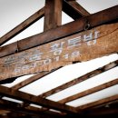 푸른숲캠핑장 이미지