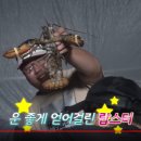 밤밭실내장어낚시터