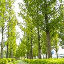 시민공원 남문 인근-5 이미지