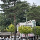 퇴계막국수 | 남춘천역 근처 맛국수 맛집 퇴계막국수 다녀온 후기