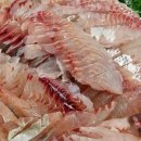 바람의언덕 리조트 펜션 이미지