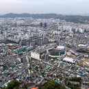 나무드론 티스토리