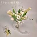 보테가피오리타