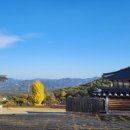 성보골드 이미지