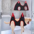 J애견미용 이미지