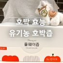 서늘기교 | 임산부 붓기 관리 호박즙 효능 내돈내산 솔직 후기