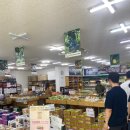 사회적협동조합사람이야기 | 선진지 답사 🌳대구 동구 소목길 효목 2동 도시재생센터🌳