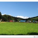 강민목장 이미지