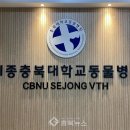 세종충북대학교 동물병원 이미지