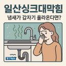 플렉스짐 야당점 | 일산싱크대막힘, 싱크대 냄새가 갑자기 올라온다면 확인해야 할 부분