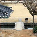 홍성군 여하정 이미지