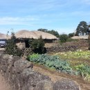 성읍민속마을 이미지