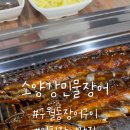 소양강민물장어 이미지