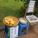 제주브릭스 이미지