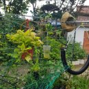 가온하우스 이미지