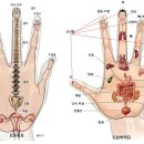 웃음건강체조 이미지