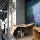 이마트24 무의중심점 이미지