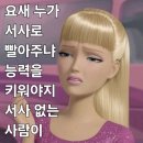 [두달 677] 오랜만에 짓는 내 집 이미지