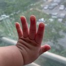 요산한의원 | 자연과한의원 다이어트 내돈내산 솔직후기