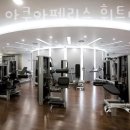 아쿠아휘트니스 이미지