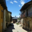 푸른가축병원 이미지