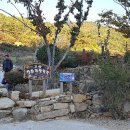 고성 장좌리 캠핑장 이미지
