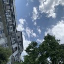 고성성당 버스정류장 | 가족 유럽 여행 D+17 스위스여행, 베른 근교 여행, 베른 로잔 브베 몽트뢰 여행, 시옹성, 몽트뢰 맛집...