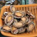 서귀포자연휴양림3 이미지