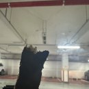 레전드스크린야구존 춘천팔호광장점 네이버블로그