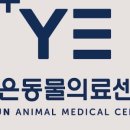 보람동물병원 이미지