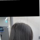 로이드밤(무실롯시점) 네이버블로그