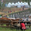 섬강목장 이미지