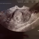 더드림산부인과의원 이미지