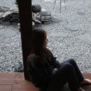 강릉초이 이미지