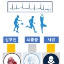 (주)세동