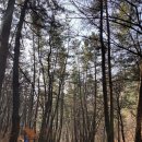 마산 봉암수원지 이미지