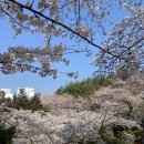 삼향천4 이미지