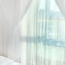 오늘의 미 이미지