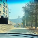 용인 드라이브카페 추천, 뷰맛집과 가구쇼룸의 만남 카페디 thee 솔직후기