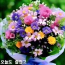 커피동행