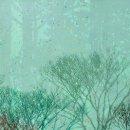 사람과 자연 이미지